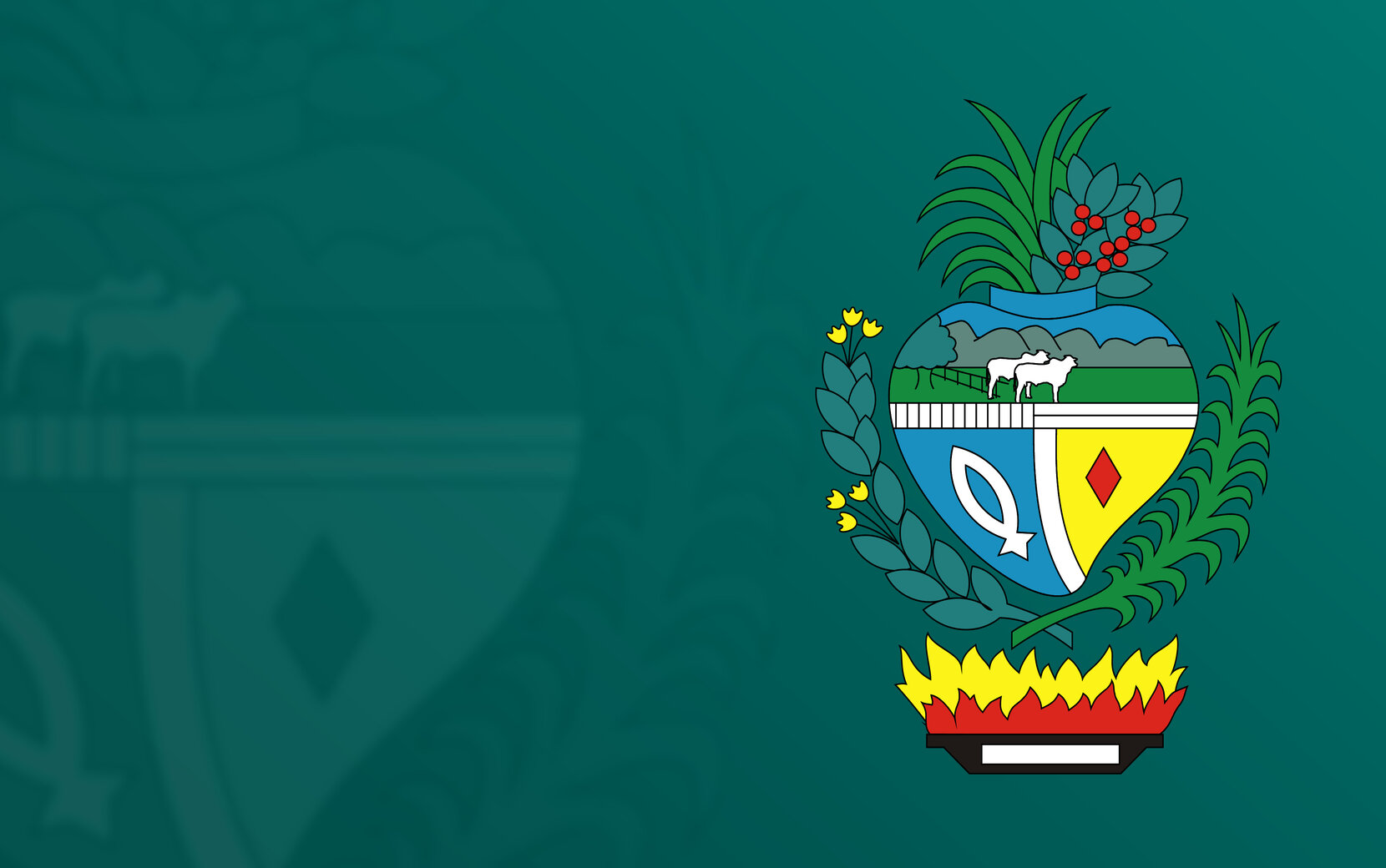 Bandeira do Estado de Goiás